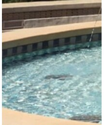 Supreme  | Tシャツ/カットソー