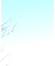 flamingo | サングラス