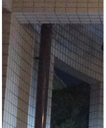 WEGO | ジャケット/アウター