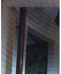 Confirm | ニット/セーター