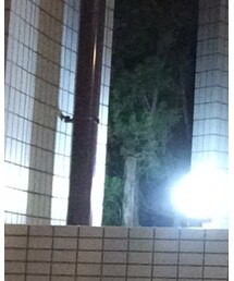 忘れた。 | サンダル