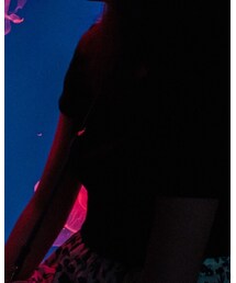 BEAMS | トップス