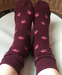 socks appeal | ソックス/靴下