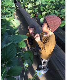 🍓 | その他