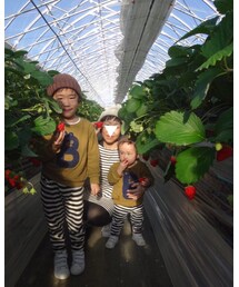 🍓 | その他