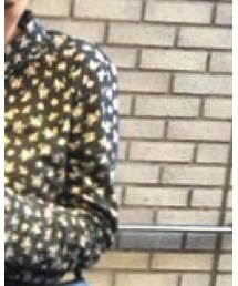 CARVEN | シャツ/ブラウス