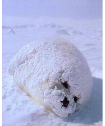 my name is Kenya | デニムパンツ