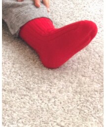 korea | ソックス/靴下