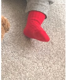 korea | ソックス/靴下