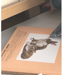 korea | パンツ