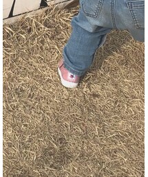 Cienta | スニーカー