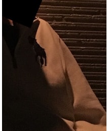 POLO RALPH LAUREN | スウェット