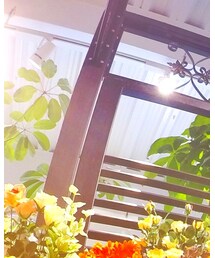 EMODA | チューブトップ