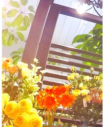 grove | デニムジャケット