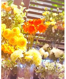 CELINE | ハンドバッグ