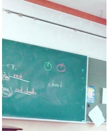 ロイスカット💇 | その他