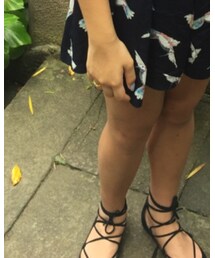 STEVE MADDEN | バレエシューズ