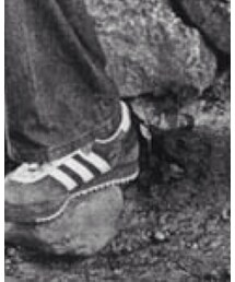 adidas | スニーカー