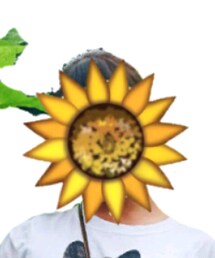 iPhoneの向日葵 | その他