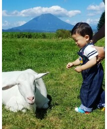 お気に入りの場所 | その他