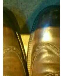 Sergio rossi | シューズ