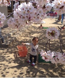 無印良品 | Tシャツ/カットソー