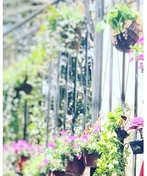 FERRAGAMO | サングラス