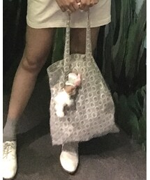 Disney | 雑貨/ホビー