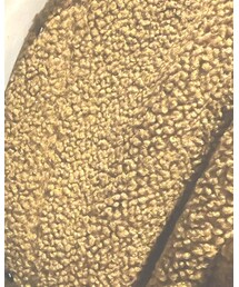 UNIQLO | ブルゾン