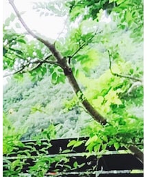 肩こり解消 | その他
