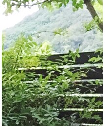wakami | アンクレット