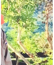 Levi's | デニムパンツ