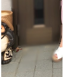 信楽のたぬき | スーツケース/キャリーバッグ