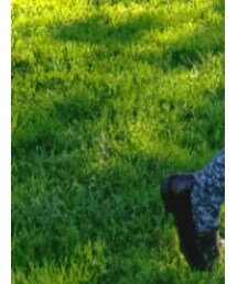 TOD’S | ローファー