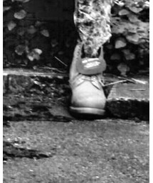 Timberland | ブーツ