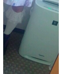 Metamorphose | ソックス/靴下