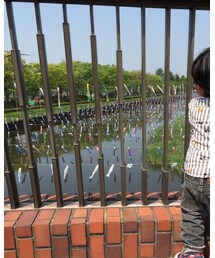 こいのぼり | その他