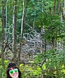 SolTheory | サングラス