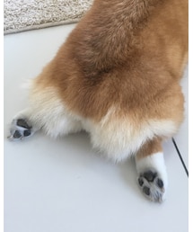 はぴけつ | その他