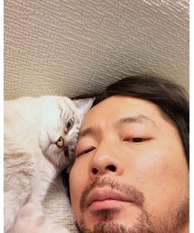 頭くっつけてきた | その他
