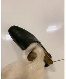 気にいったよう | スリッポン