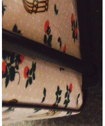 古着屋で新品の発掘 | スーツケース/キャリーバッグ