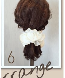 DAISO | シュシュ