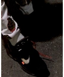 off white | スニーカー