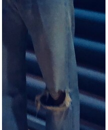 Levi's | デニムパンツ