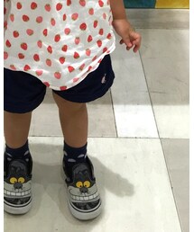 VANS | スニーカー