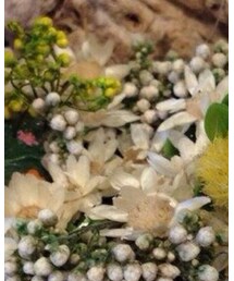 Handmade | その他雑貨