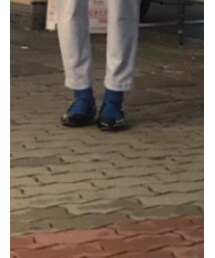 靴下屋 | ソックス/靴下