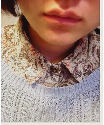 ペイズリーシャツ(シャツ/ブラウス)