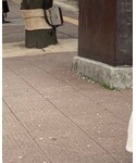 VINTAGE(ヴィンテージ)の「その他(その他)」